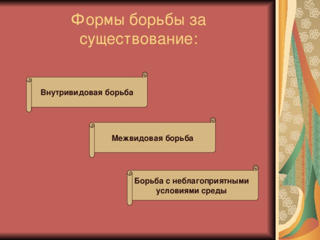 презентация по биологии по теме . презентация позволит убедить учащихся в том, что естественный отбор является основной 