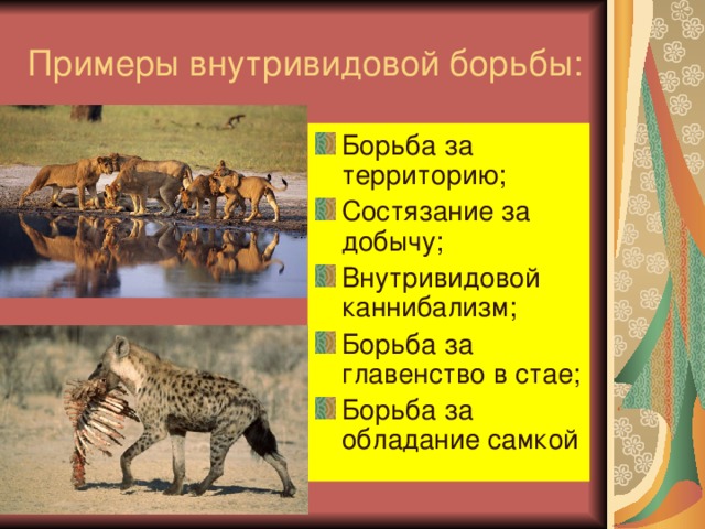 Борьба за существование и естественный отбор движущие силы эволюции 9 класс презентация