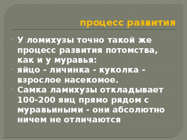 процесс развития У ломихузы точно такой же процесс развития потомства, как и у муравья: яйцо - личинка - куколка - взрослое насекомое. Самка ламихузы откладывает 100-200 яиц прямо рядом с муравьиными - они абсолютно ничем не отличаются 