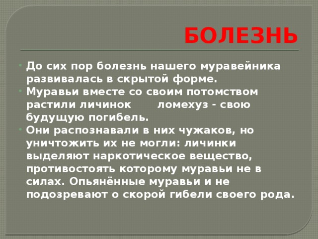 БОЛЕЗНЬ До сих пор болезнь нашего муравейника развивалась в скрытой форме. Муравьи вместе со своим потомством растили личинок ломехуз - свою будущую погибель. Они распознавали в них чужаков, но уничтожить их не могли: личинки выделяют наркотическое вещество, противостоять которому муравьи не в силах. Опьянённые муравьи и не подозревают о скорой гибели своего рода. 