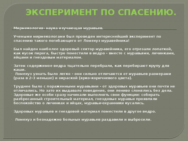 ЭКСПЕРИМЕНТ ПО СПАСЕНИЮ.   Мирмекология- наука изучающая муравьев. Учеными мирмекологами был проведен интереснейший эксперимент по спасению такого погибающего от Ломехуз муравейника! Был найден наиболее здоровый сектор муравейника, его отрезали лопаткой, как кусок пирога, быстро поместили в ведро - вместе с муравьями, личинками, яйцами и гнездовым материалом. Затем содержимое ведра тщательно перебрали, как перебирают крупу для каши.  Ломехуз узнать было легко - они сильно отличаются от муравьев размерами (раза в 2-3 меньше) и окраской (ярко-коричневого цвета). Труднее было с пораженными муравьями - от здоровых муравьев они почти не отличались. Но зато их выдавало поведение, они лениво слонялись без дела. Здоровые же особи сразу начинали выполнять свои функции: собирать разбросанный строительный материал, гнездовые муравьи проявляли беспокойство о личинках и яйцах, муравьи-охранники кусались. Здоровых муравьев и гнездовой материал поместили в другое ведро.  Ломехуз и безнадежно больных муравьев раздавили и выбросили . 