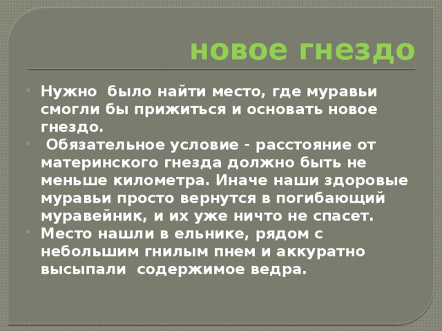 новое гнездо Нужно было найти место, где муравьи смогли бы прижиться и основать новое гнездо.  Обязательное условие - расстояние от материнского гнезда должно быть не меньше километра. Иначе наши здоровые муравьи просто вернутся в погибающий муравейник, и их уже ничто не спасет. Место нашли в ельнике, рядом с небольшим гнилым пнем и аккуратно высыпали содержимое ведра. 