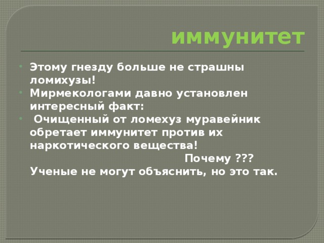 иммунитет Этому гнезду больше не страшны ломихузы! Мирмекологами давно установлен интересный факт:  Очищенный от ломехуз муравейник обретает иммунитет против их наркотического вещества! Почему ??? Ученые не могут объяснить, но это так. 