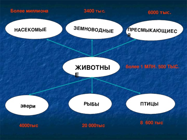 НАСЕКОМЫЕ РЫБЫ ЗЕМНОВОДНЫЕ ПРЕСМЫКАЮЩИЕСЯ звери  3400 тыс. Более миллиона  6000 тыс. более 1 МЛН. 500 ТЫС. ЖИВОТНЫЕ ПТИЦЫ 8 600 тыс 20 000тыс 4000тыс 