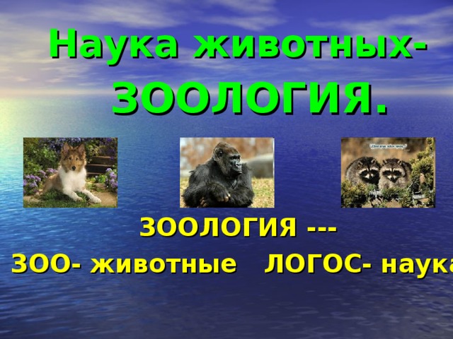 ЗООЛОГИЯ. Наука животных- ЗООЛОГИЯ --- ЗОО- животные ЛОГОС- наука 