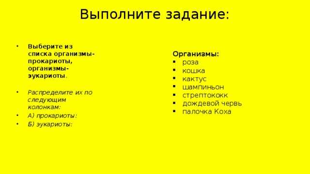 Выполните задание:   Выберите из списка организмы-прокариоты, организмы-эукариоты . Распределите их по следующим колонкам: А) прокариоты: Б) эукариоты: Организмы: роза кошка кактус шампиньон стрептококк дождевой червь палочка Коха 