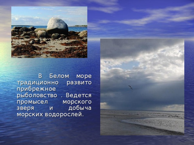 Белое море характеристика