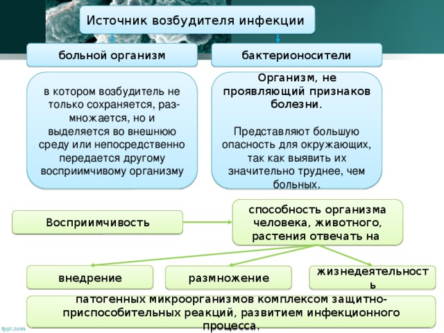 Факторы влияющие на восприимчивость хозяина к инфекции схема ворде