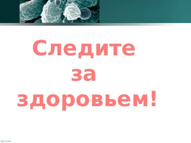 Не следи за деньгами следи за здоровьем. Следить за здоровьем. Следите за своим здоровьем. Следи за своим здоровьем. Спасибо за внимание следите за своим здоровьем.