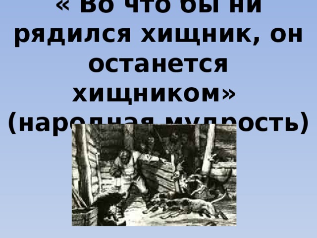 « Во что бы ни рядился хищник, он останется хищником»  (народная мудрость) 