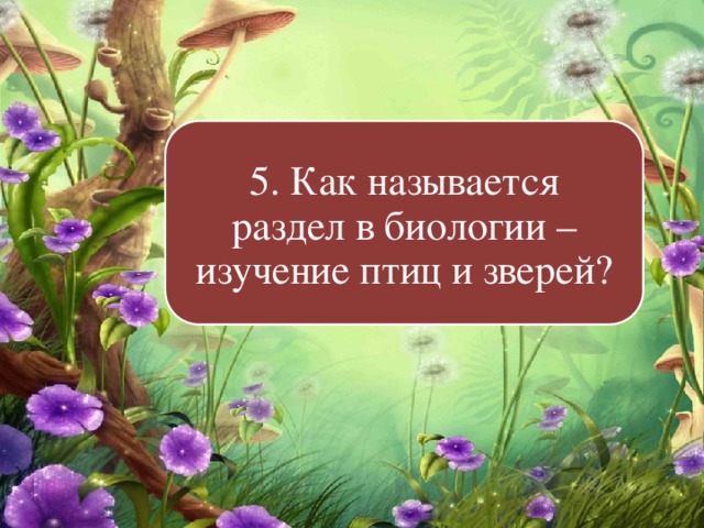 5. Как называется раздел в биологии – изучение птиц и зверей? 