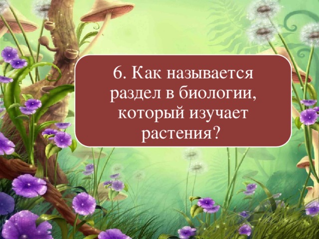 Ответ цветок. Название науки о живой природе. Наука о живой природе носит название. Наука о живом. Как называется. Как называют науку о живой природе.