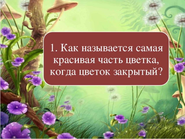 1. Как называется самая красивая часть цветка, когда цветок закрытый? 