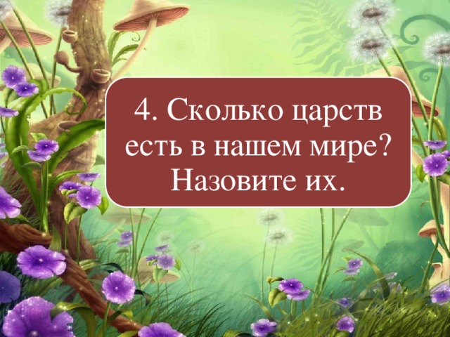 4. Сколько царств есть в нашем мире? Назовите их. 