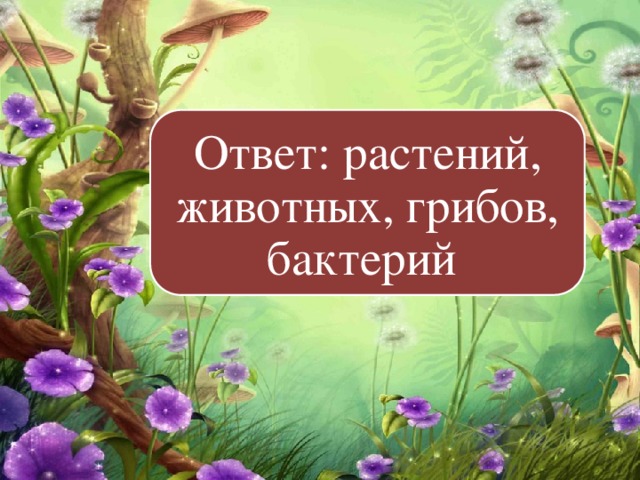 Ответ: растений, животных, грибов, бактерий 