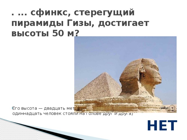 . ... сфинкс, стерегущий пирамиды Гизы, достигает высоты 50 м? Его высота — двадцать метров. Это примерно столько же, как если бы одиннадцать человек стояли на голове друг и друга)   нет 