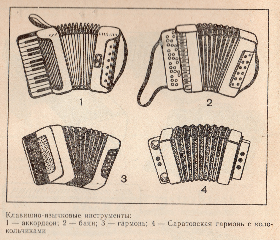 Чем отличается аккордеон от баяна и гармони. Язычковые инструменты. Клавишно-язычковые музыкальные инструменты. Язычковые русские народные инструменты. Отличие гармони от баяна и аккордеона.