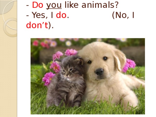 - Do  you like animals?  - Yes, I do . (No, I don’t ). 