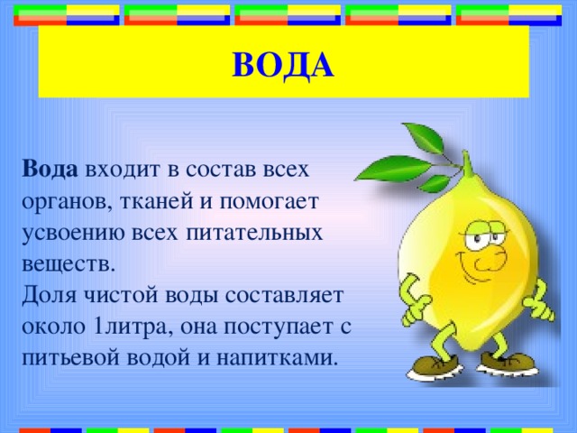 ВОДА Вода входит в состав всех органов, тканей и помогает усвоению всех питательных веществ. Доля чистой воды составляет около 1литра, она поступает с питьевой водой и напитками. 
