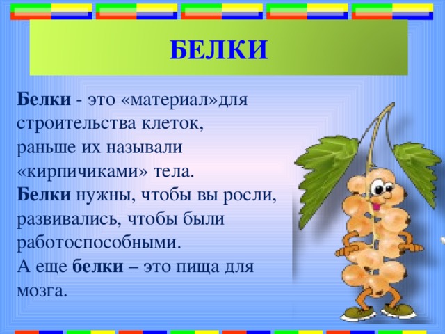 БЕЛКИ Белки - это «материал»для строительства клеток, раньше их называли «кирпичиками» тела. Белки нужны, чтобы вы росли, развивались, чтобы были работоспособными. А еще белки – это пища для мозга. 