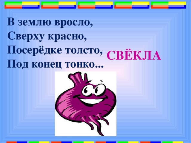 В землю вросло,  Сверху красно,  Посерёдке толсто,  Под конец тонко...   СВЁКЛА 