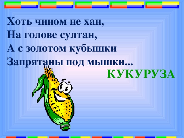 Хоть чином не хан,  На голове султан,  А с золотом кубышки  Запрятаны под мышки...   КУКУРУЗА 