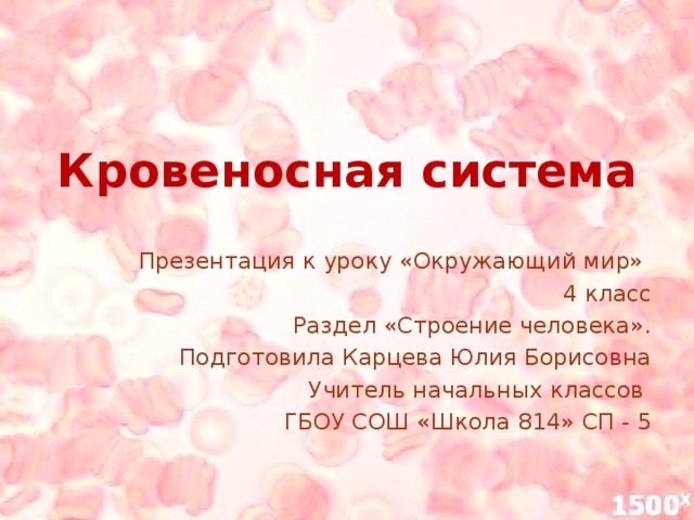 Кровеносная система Презентация к уроку «Окружающий мир» 4 класс  Раздел «Строение человека». Подготовила Карцева Юлия Борисовна Учитель начальных классов ГБОУ СОШ «Школа 814» СП - 5 