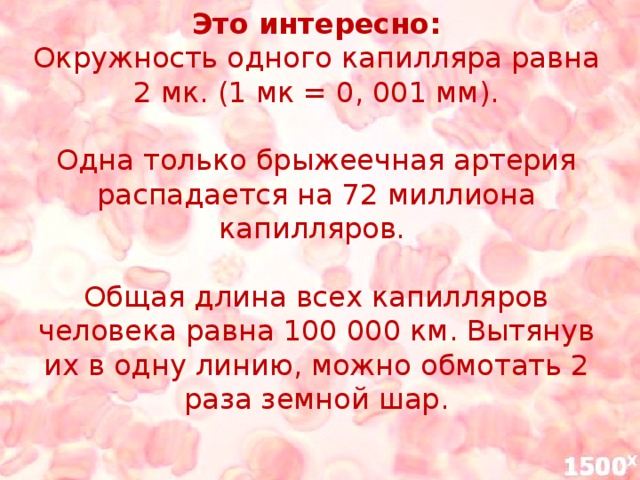 Это интересно:  Окружность одного капилляра равна 2 мк. (1 мк = 0, 001 мм).   Одна только брыжеечная артерия распадается на 72 миллиона капилляров.   Общая длина всех капилляров человека равна 100 000 км. Вытянув их в одну линию, можно обмотать 2 раза земной шар.   