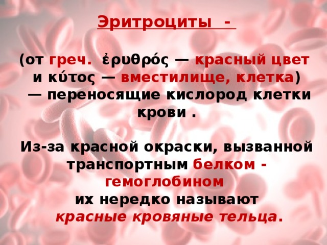 Эритроциты  -  (от  греч.  ἐρυθρός —  красный цвет и κύτος — вместилище, клетка ) — переносящие кислород клетки крови .  Из-за красной окраски, вызванной транспортным белком - гемоглобином  их нередко называют   красные кровяные тельца . 