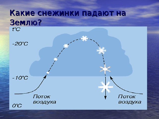 Какие снежинки падают на Землю? 