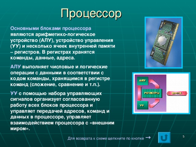  Процессор Основными блоками процессора являются арифметико-логическое устройство (АЛУ), устройство управления (УУ) и несколько ячеек внутренней памяти – регистров. В регистрах хранятся команды, данные, адреса. АЛУ выполняет числовые и логические операции с данными в соответствии с кодом команды, хранящимся в регистре команд (сложение, сравнение и т.п.). УУ с помощью набора управляющих сигналов организует согласованную работу всех блоков процессора и управляет передачей адресов, команд и данных в процессоре, управляет взаимодействием процессора с «внешним миром». Для возврата к схеме щелкните по кнопке  →  