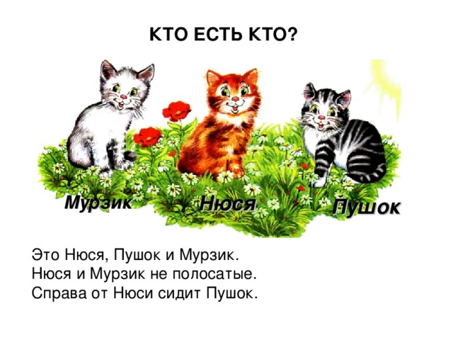 КТО ЕСТЬ КТО? Нюся Мурзик Пушок Это Нюся, Пушок и Мурзик. Нюся и Мурзик не полосатые. Справа от Нюси сидит Пушок. 