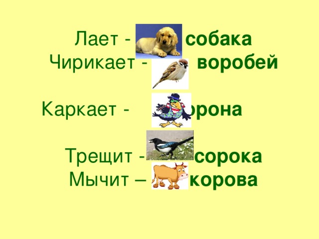 Кто чирикает. Чирикает Воробей а каркает ворона мычит корова а лает собака. Чирикает Воробей мычит корова. Воробей чирикает ворона каркает а сорока. Чирикает Воробей а каркает.