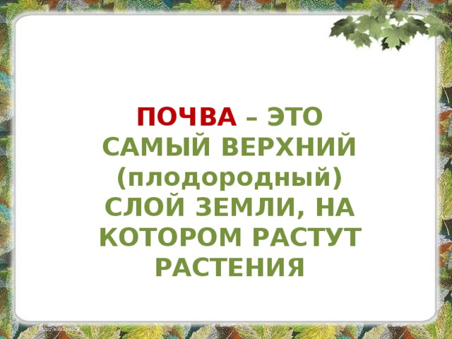 ПОЧВА – ЭТО САМЫЙ ВЕРХНИЙ (плодородный) СЛОЙ ЗЕМЛИ, НА КОТОРОМ РАСТУТ РАСТЕНИЯ 