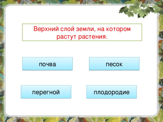 Верхний слой земли, на котором растут растения. почва песок плодородие перегной 