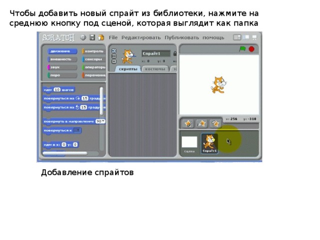 Папка scratch