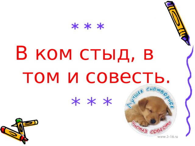 * * * В ком стыд, в том и совесть.  * * * 