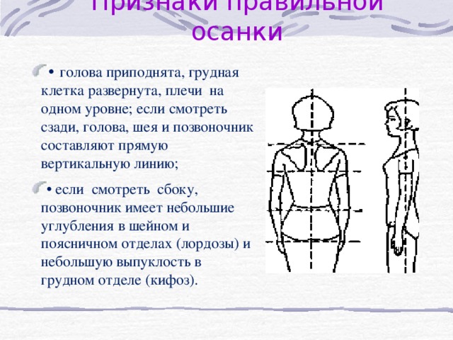 Осанка и мозг. Чегедек вид спереди и сзади.