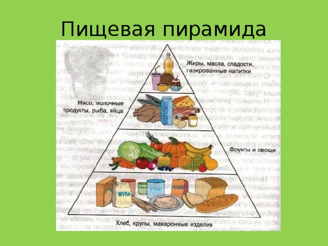Пищевая пирамида 