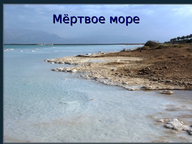 Мёртвое море 