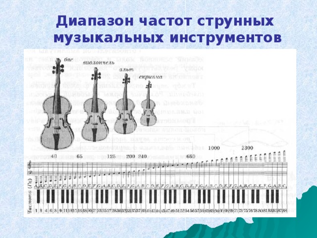 Презентация по физике "В мире звуков"