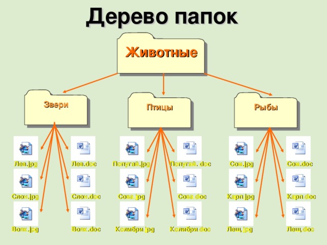 Дерево папок Животные Звери Рыбы Птицы Сом. doc Попугай. jpg Попугай. doc Лев. jpg Сом. jpg Лев. doc Слон. jpg Слон. doc Карп. jpg Карп. doc Сова. doc Сова. jpg Лещ. doc Лещ. jpg Волк. doc Колибри. jpg Колибри. doc Волк. jpg 