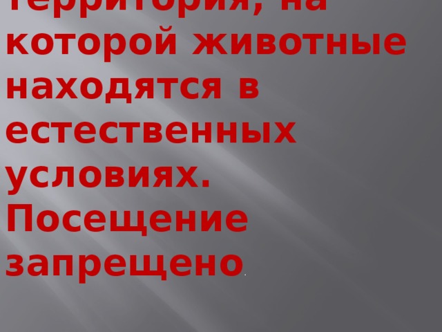 Заповедник – территория, на которой животные находятся в естественных условиях. Посещение запрещено . 