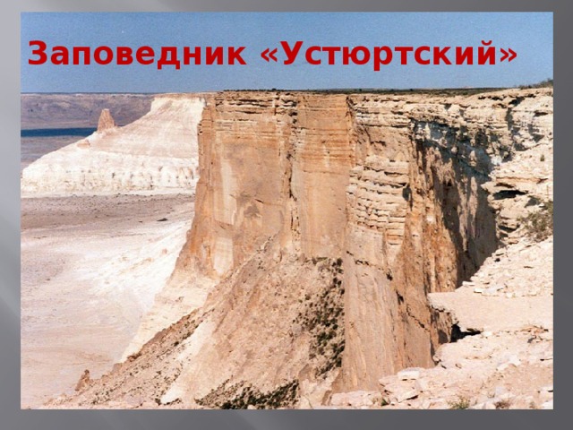 Заповедник «Устюртский» 