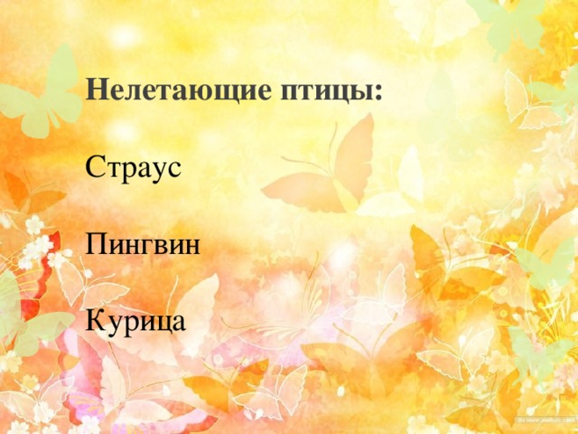 Нелетающие птицы:  Страус  Пингвин  Курица   