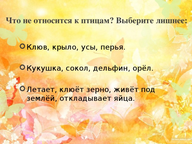 Что не относится к птицам? Выберите лишнее: Клюв, крыло, усы, перья. Кукушка, сокол, дельфин, орёл. Летает, клюёт зерно, живёт под землёй, откладывает яйца.  