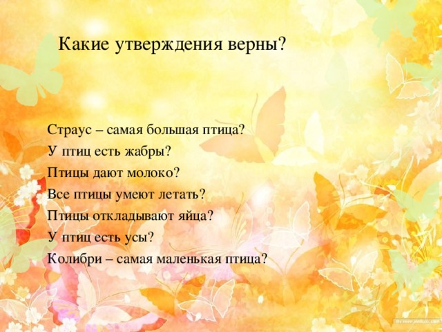 Какие утверждения верны? Страус – самая большая птица? У птиц есть жабры? Птицы дают молоко? Все птицы умеют летать? Птицы откладывают яйца? У птиц есть усы? Колибри – самая маленькая птица? 