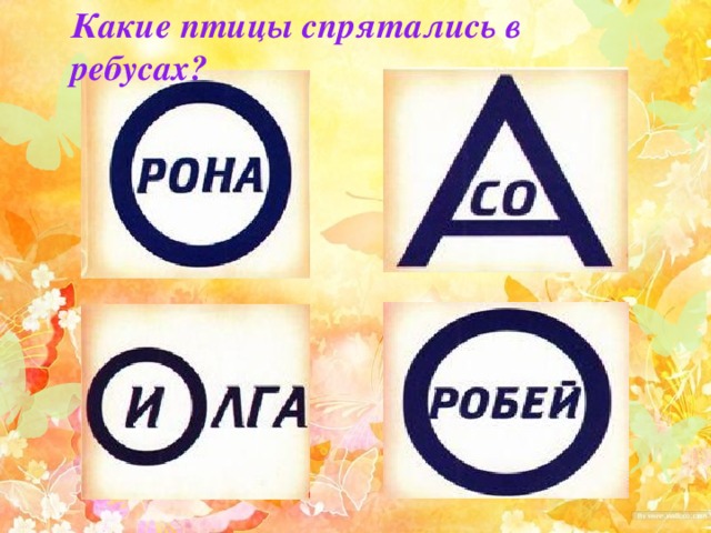 Какие птицы спрятались в ребусах? 
