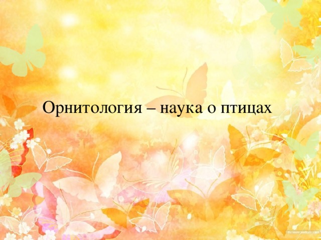 Орнитология – наука о птицах 