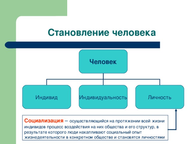 Процесс социализации схема